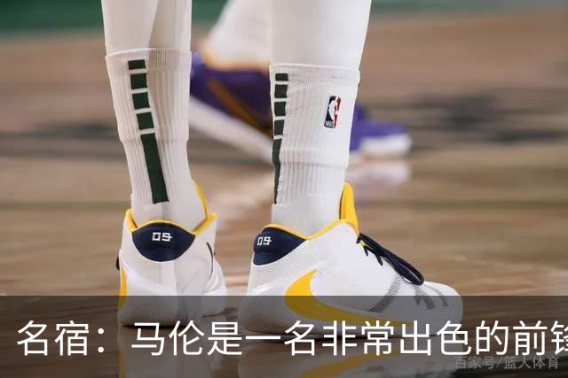 名宿：马伦是一名非常出色的前锋，在他身上能看到罗纳尔多的影子
