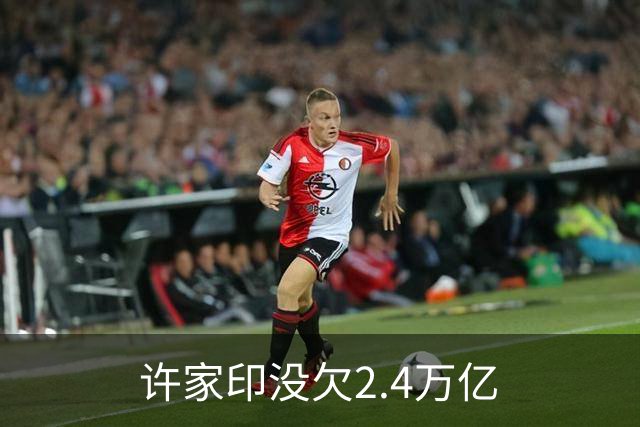 许家印没欠2.4万亿
