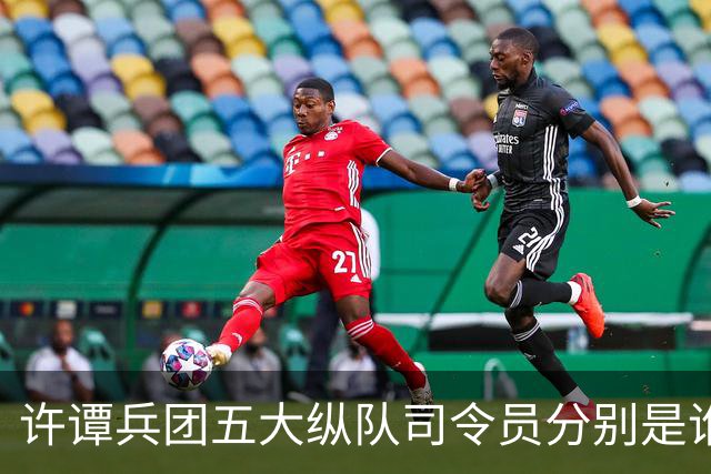 许谭兵团五大纵队司令员分别是谁？他们的军衔又是什么情况？