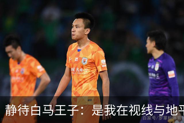 静待白马王子:是我在视线与地平线之间为你留出的可调节焦距